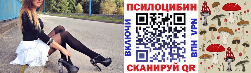 Псилоцибиновые грибы ЛСД  закладка  Щучье 
